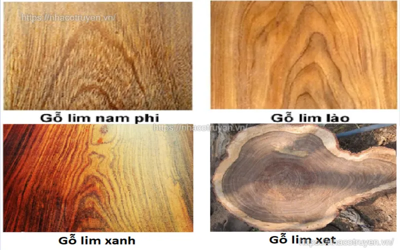 Phân loại gỗ lim phổ biến